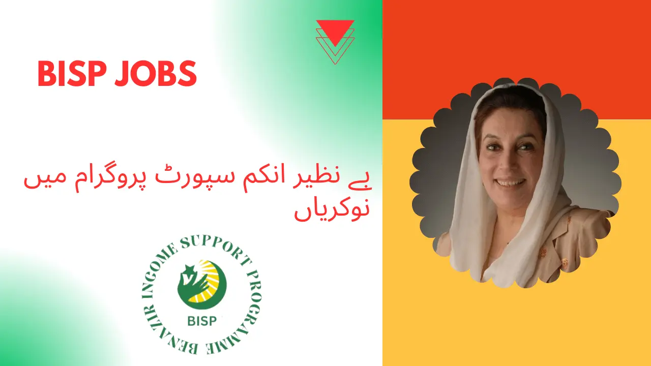 BISP Jobs