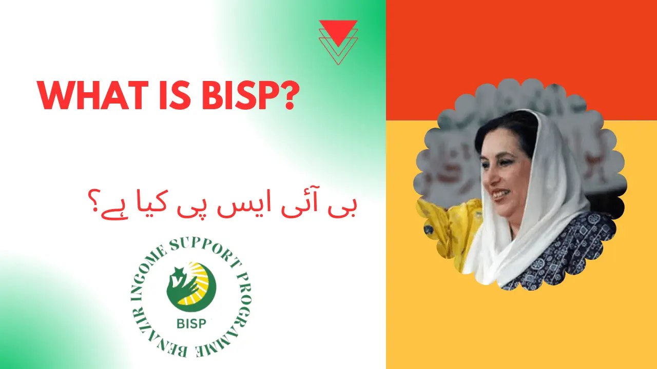 What is BISP